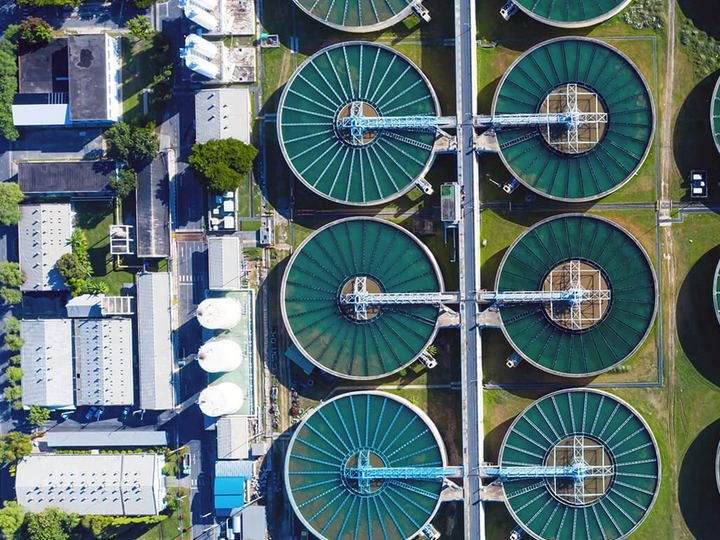 Circular clarifiers viewed from above